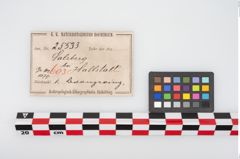 Etikett zu Bronzeringanhänger (NHMW-PRAE-025533)